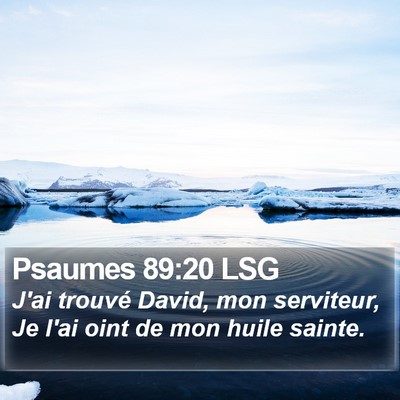 Psaumes 89:20 LSG Bible Verse Image