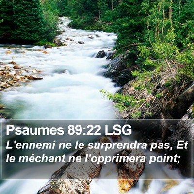 Psaumes 89:22 LSG Bible Verse Image