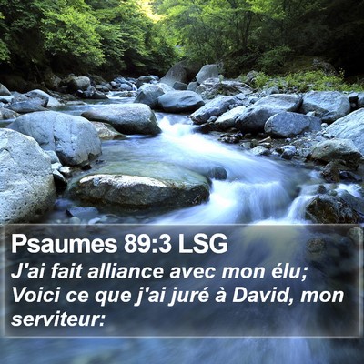 Psaumes 89:3 LSG Bible Verse Image