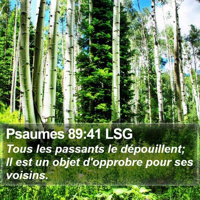 Psaumes 89:41 LSG Bible Verse Image