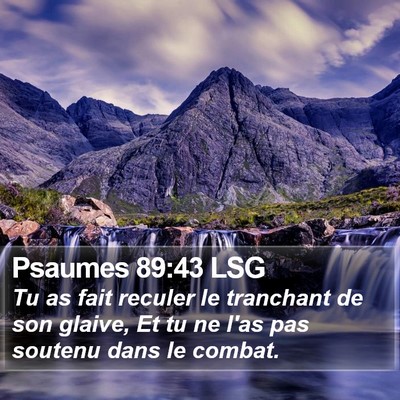 Psaumes 89:43 LSG Bible Verse Image