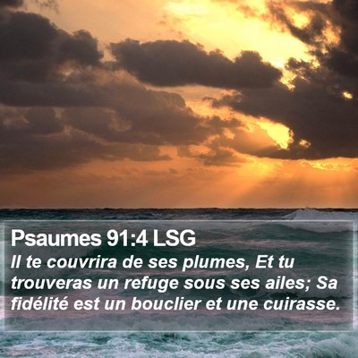 Psaumes 91:4 LSG Bible Verse Image