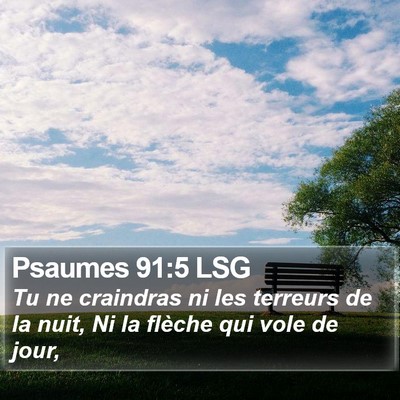 Psaumes 91:5 LSG Bible Verse Image
