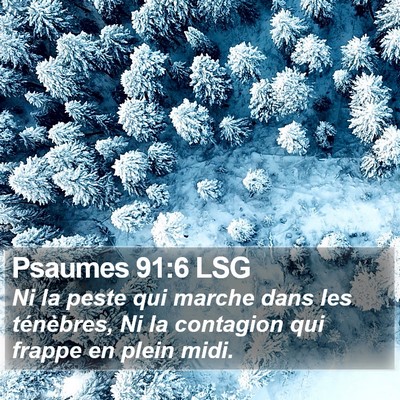 Psaumes 91:6 LSG Bible Verse Image