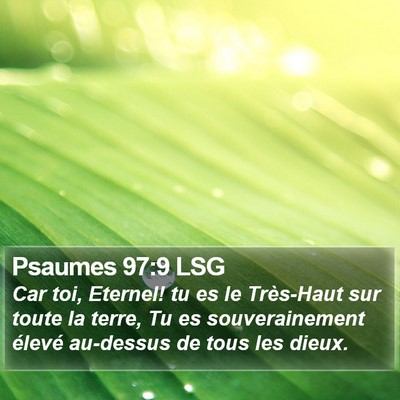 Psaumes 97:9 LSG Bible Verse Image