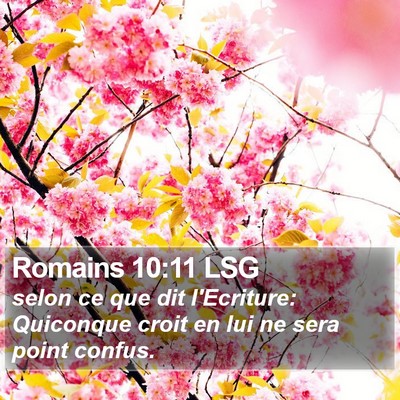 Romains 10:11 LSG Bible Verse Image
