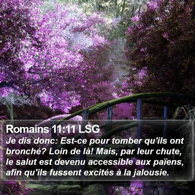 Romains 11:11 LSG Bible Verse Image