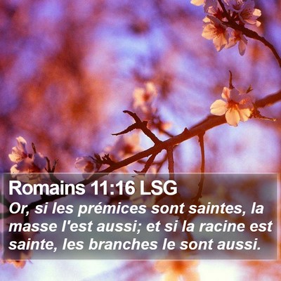 Romains 11:16 LSG Bible Verse Image