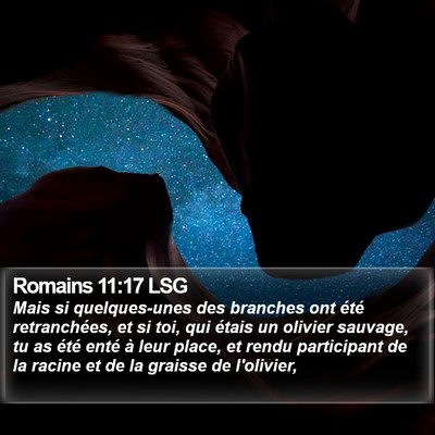 Romains 11:17 LSG Bible Verse Image