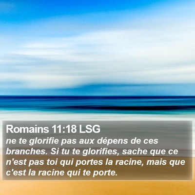 Romains 11:18 LSG Bible Verse Image