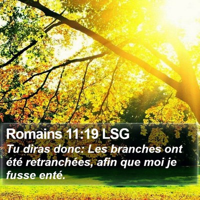 Romains 11:19 LSG Bible Verse Image