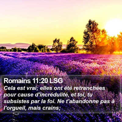 Romains 11:20 LSG Bible Verse Image