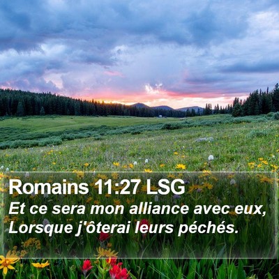 Romains 11:27 LSG Bible Verse Image