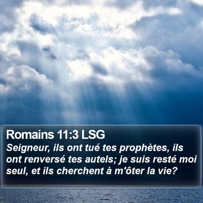 Romains 11:3 LSG Bible Verse Image