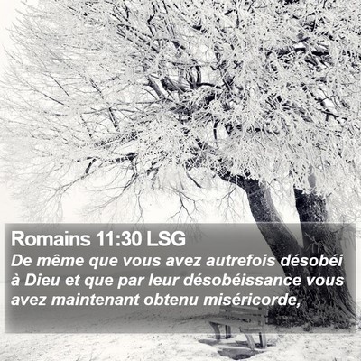 Romains 11:30 LSG Bible Verse Image