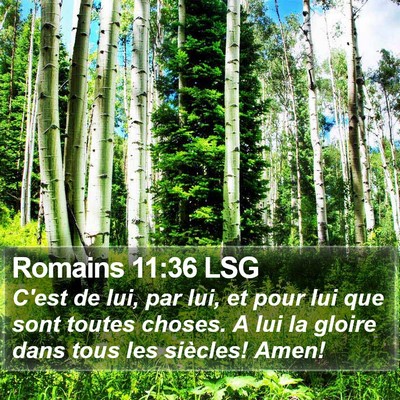 Romains 11:36 LSG Bible Verse Image