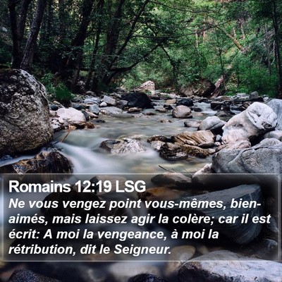Romains 12:19 LSG Bible Verse Image