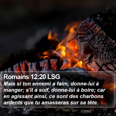 Romains 12:20 LSG Bible Verse Image