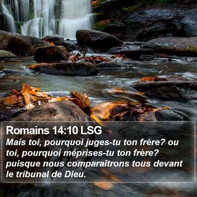 Romains 14:10 LSG Bible Verse Image