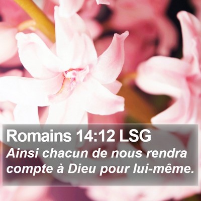 Romains 14:12 LSG Bible Verse Image