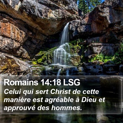 Romains 14:18 LSG Bible Verse Image