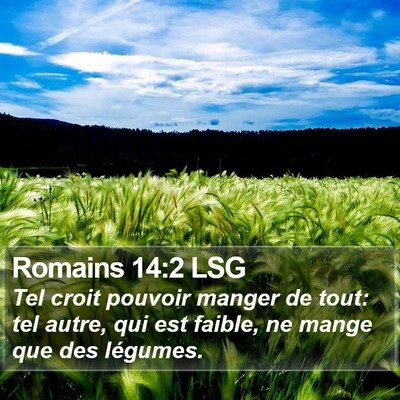 Romains 14:2 LSG Bible Verse Image