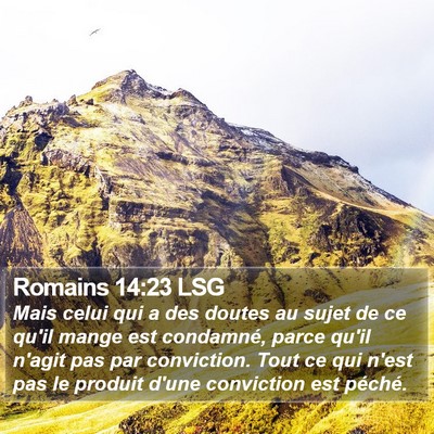 Romains 14:23 LSG Bible Verse Image