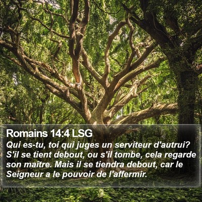 Romains 14:4 LSG Bible Verse Image
