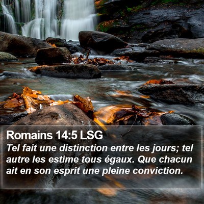 Romains 14:5 LSG Bible Verse Image