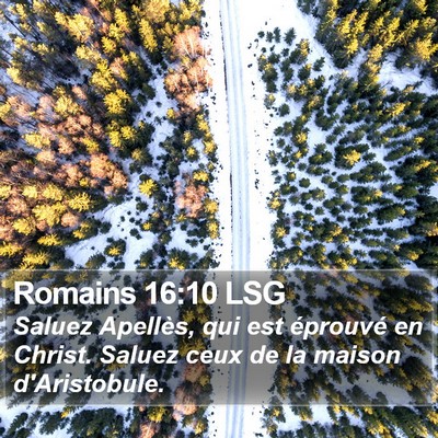 Romains 16:10 LSG Bible Verse Image