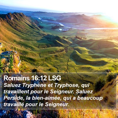 Romains 16:12 LSG Bible Verse Image