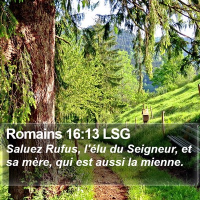 Romains 16:13 LSG Bible Verse Image