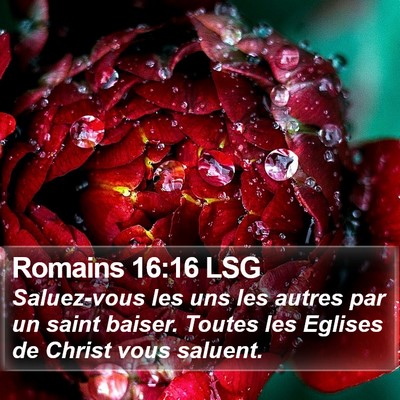 Romains 16:16 LSG Bible Verse Image