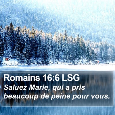 Romains 16:6 LSG Bible Verse Image