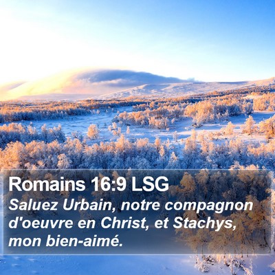 Romains 16:9 LSG Bible Verse Image