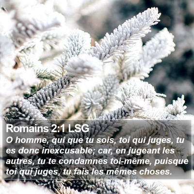 Romains 2:1 LSG Bible Verse Image