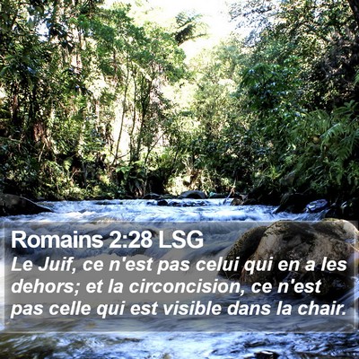 Romains 2:28 LSG Bible Verse Image