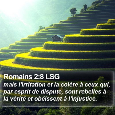 Romains 2:8 LSG Bible Verse Image