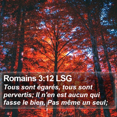 Romains 3:12 LSG Bible Verse Image