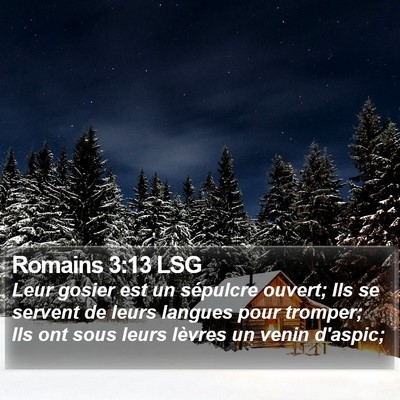 Romains 3:13 LSG Bible Verse Image