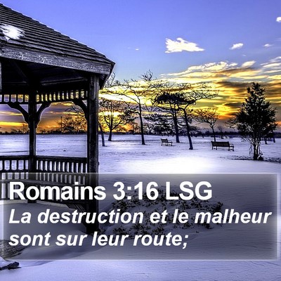 Romains 3:16 LSG Bible Verse Image
