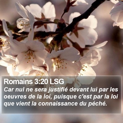 Romains 3:20 LSG Bible Verse Image