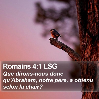 Romains 4:1 LSG Bible Verse Image