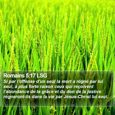 Romains 5:17 LSG Bible Verse Image