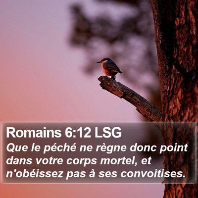 Romains 6:12 LSG Bible Verse Image
