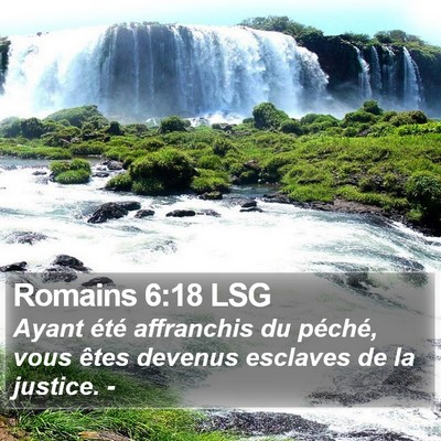 Romains 6:18 LSG Bible Verse Image