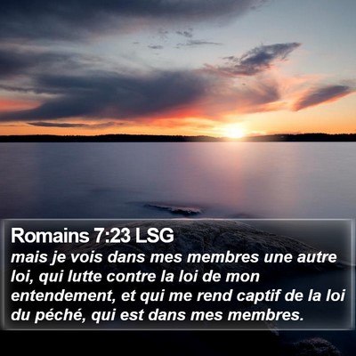Romains 7:23 LSG Bible Verse Image