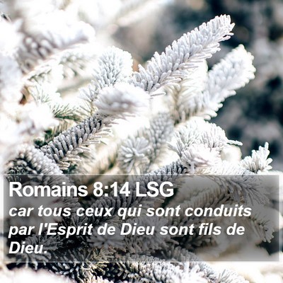 Romains 8:14 LSG Bible Verse Image