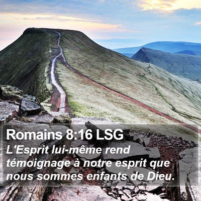 Romains 8:16 LSG Bible Verse Image