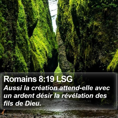 Romains 8:19 LSG Bible Verse Image